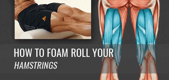 foam_roller_hamstring