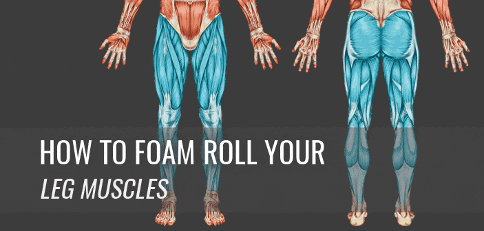 foam_rolling_legs