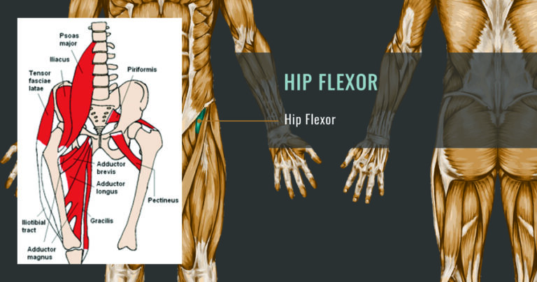How to Foam Roll Your Hip Flexors